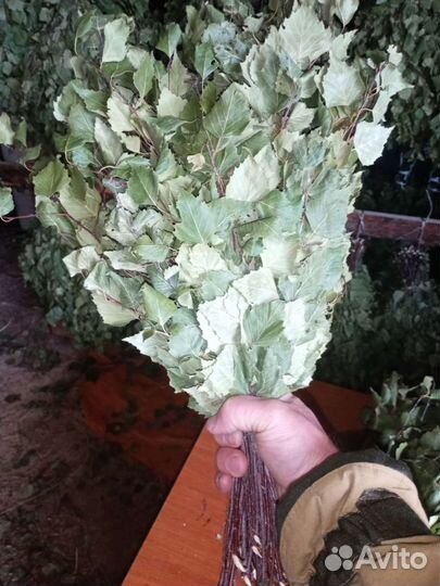 Березовые веники