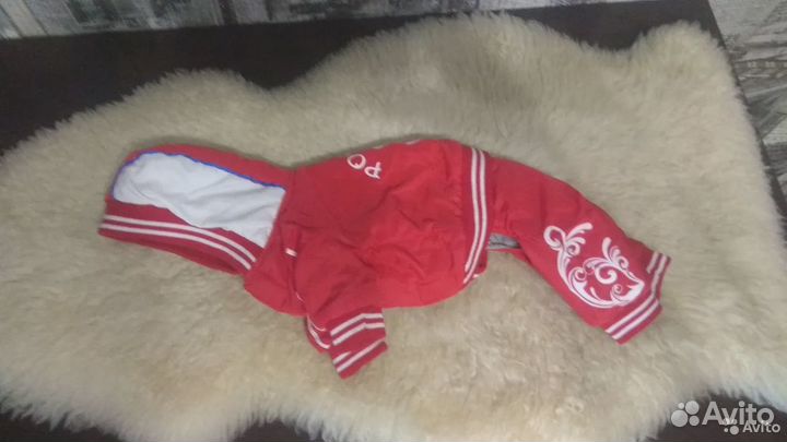 Костюм для собачки