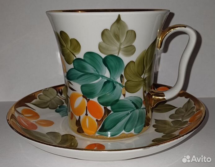 Бакал. лфз. Шиповник