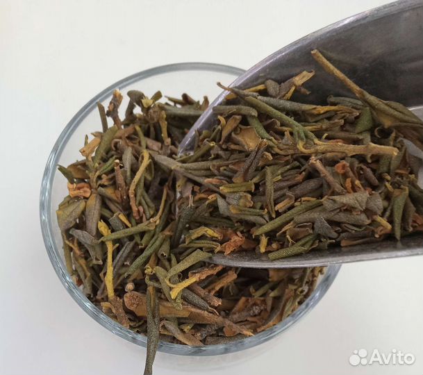 Саган дайля