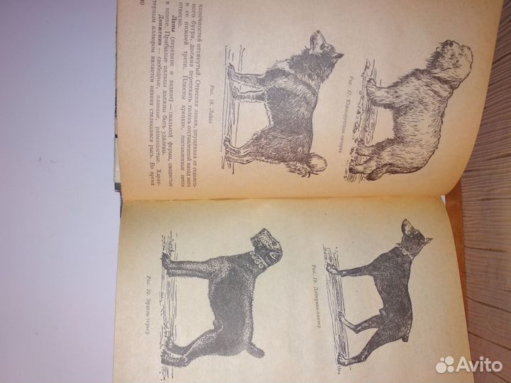 Книги по собаководству