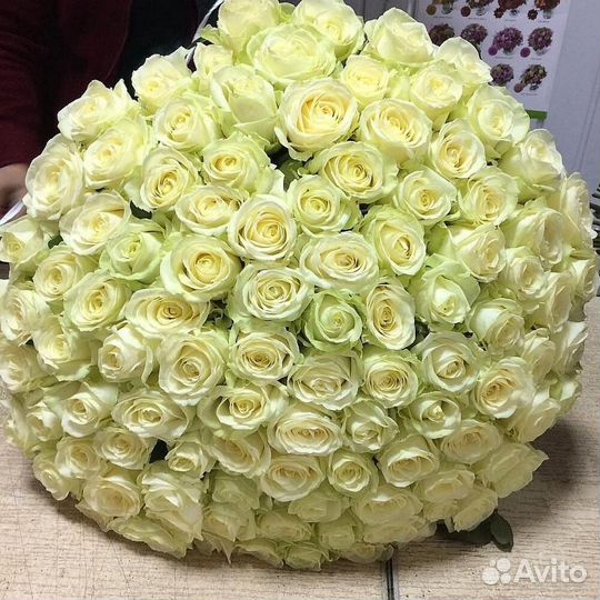 101 белая роза