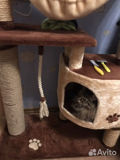 Домик для кошки с когтеточкой
