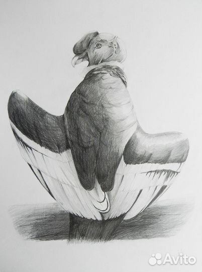 Картины карандашом, 30х40см. Анималистика