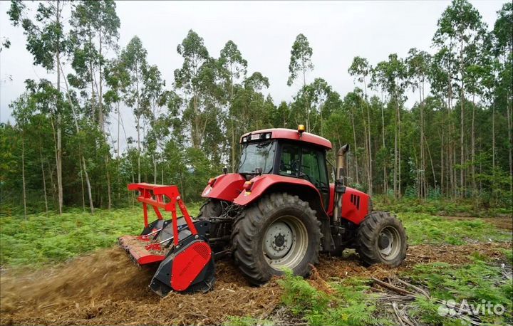 Мульчер Seppi M Multiforst 250, 2023