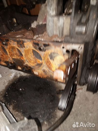 Двигатель ford focus 1 duratec 1.6