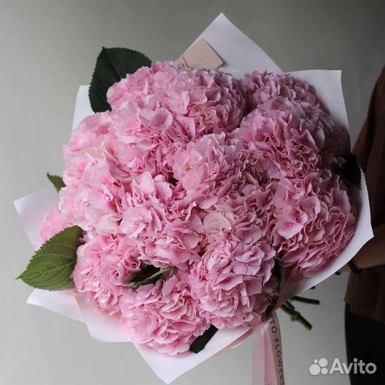 Букет цветы гортензии с доставкой 11, 21, 31 41 шт