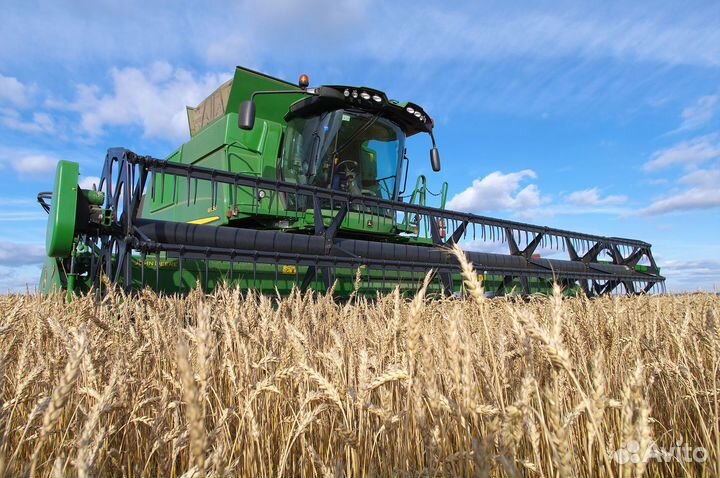 Готовый бизнес ферма по выращиванию овощей и крс