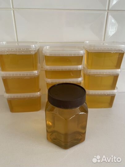 Акация белая