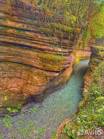 Каньон хашупсе Абхазия экскурсий