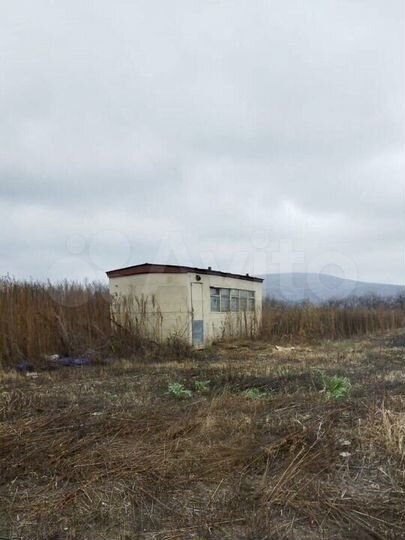 Участок 2,9 га (СНТ, ДНП)