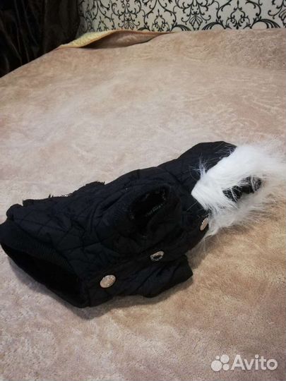 Одежда для животных