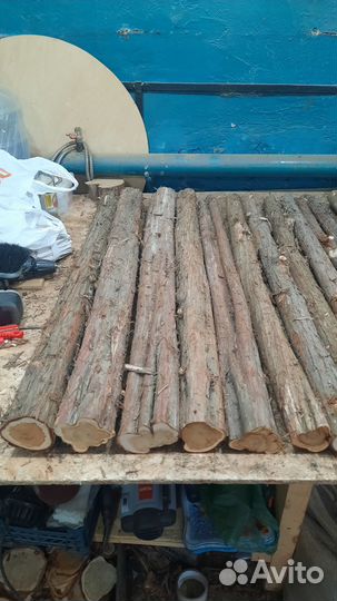 Можжевельник