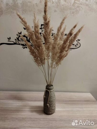 Пампасная трава. Сухоцветы. Букет