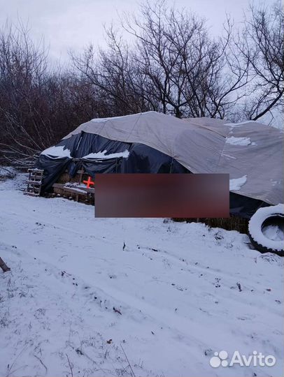 Сено тюкованное луговое