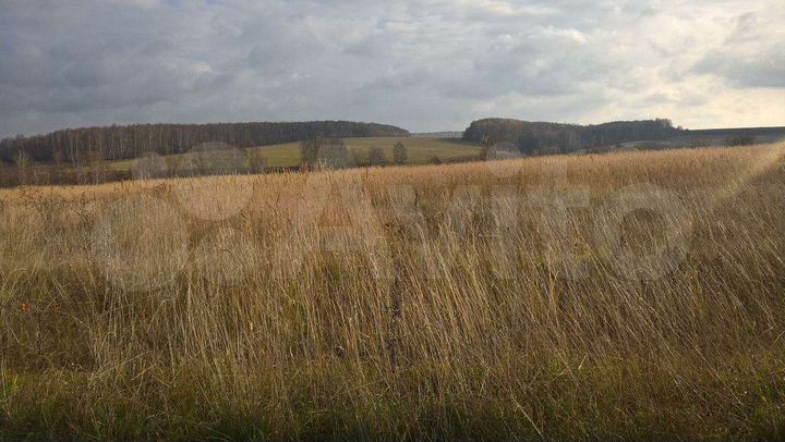 Участок 45 сот. (СНТ, ДНП)