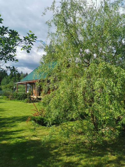 Дом 84 м² на участке 14,5 сот.