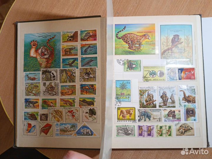 Кляссер марки фауна