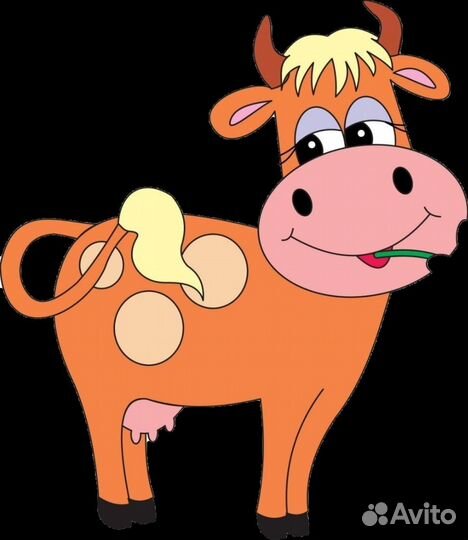 Корова, нетель, бык