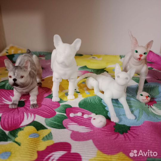 Бжд сфинкс, французский бульдог, ориентал кот