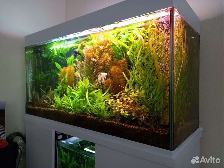 Аквариум 300 литров