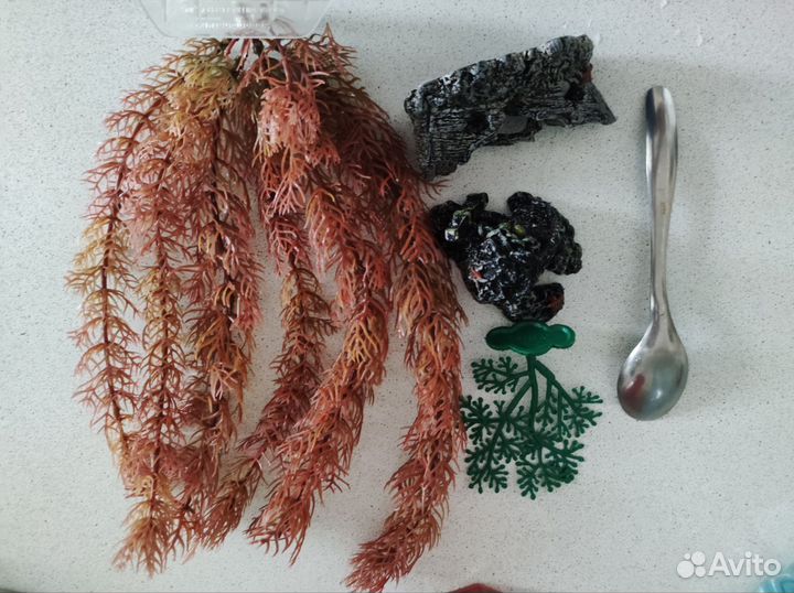 Для аквариума