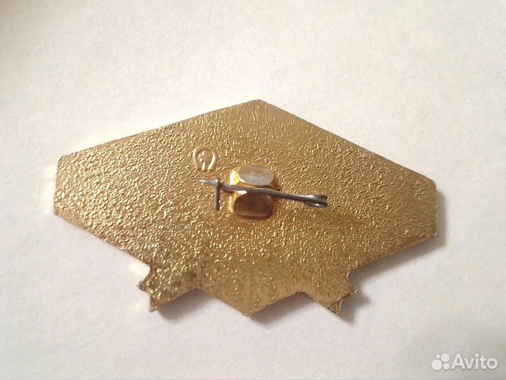 Значок Челюскин