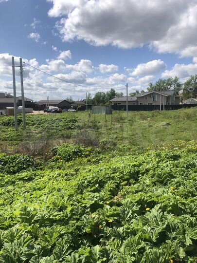 Участок 19 сот. (ИЖС)