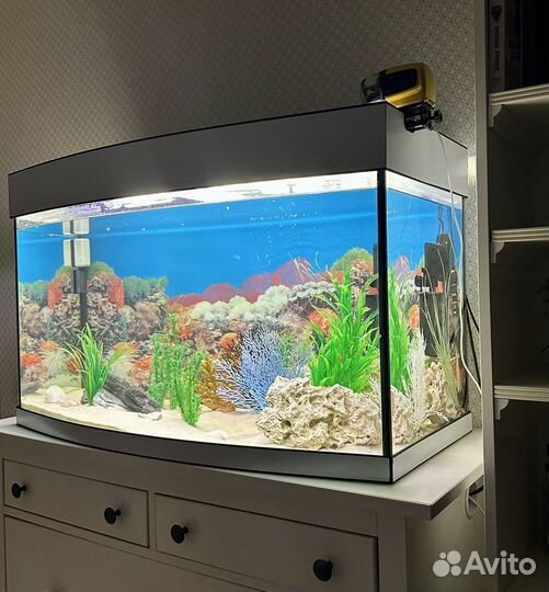 Аквариум 200 литров