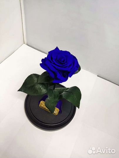 Роза в колбе оптом и в розницу