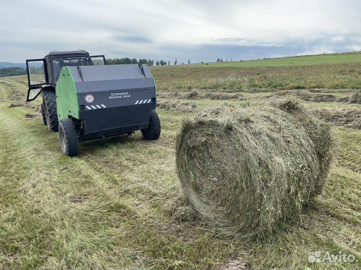 Продам сено в рулонах