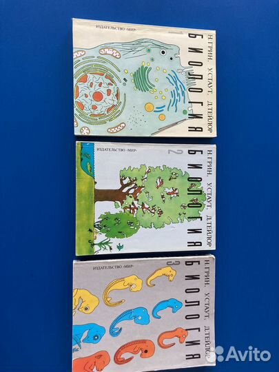 Биология грин стаут тейлор