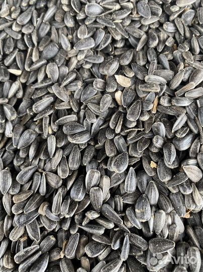 Семечки для птиц