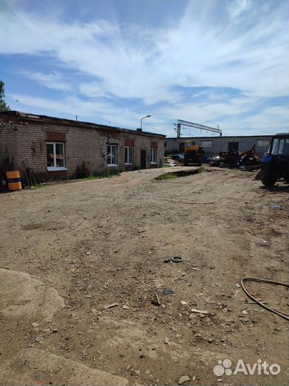 Сдам в аренду