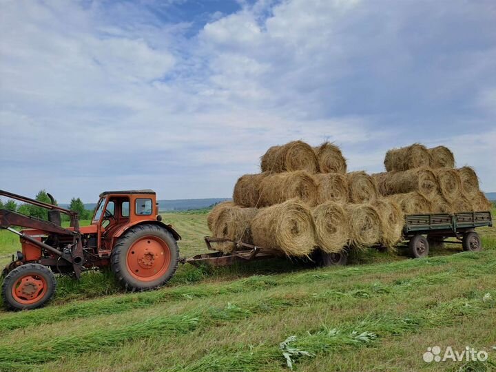 Сено в рулонах