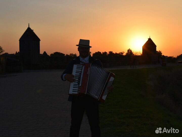 Баянист, Аккордеонист,гармонист
