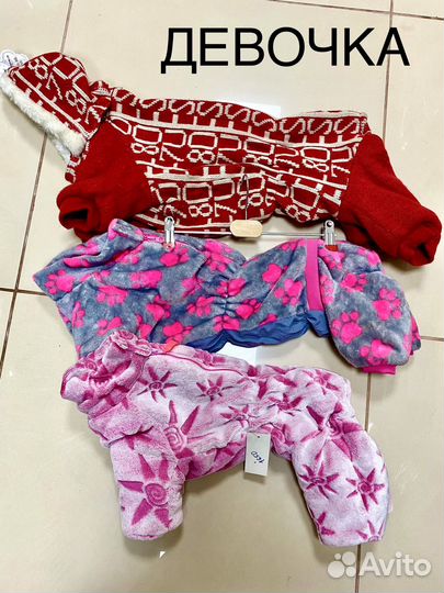 Пальто и дождевики для собак новые