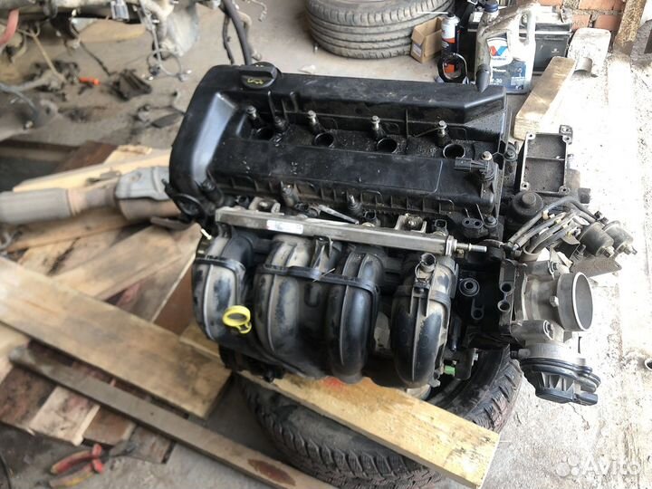 Двигатель ford focus 2 1.8 qqdb