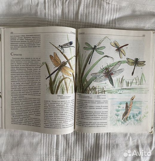 Книги «динозавры» и «словарь юного натуралиста»