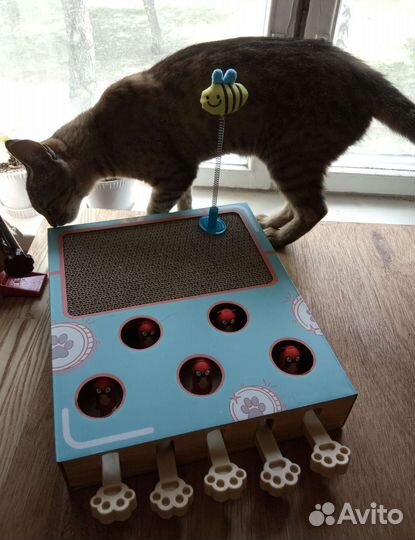 Игрушка для кошки, пианино