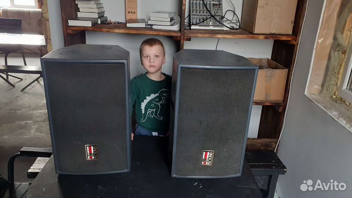 Акустическая система