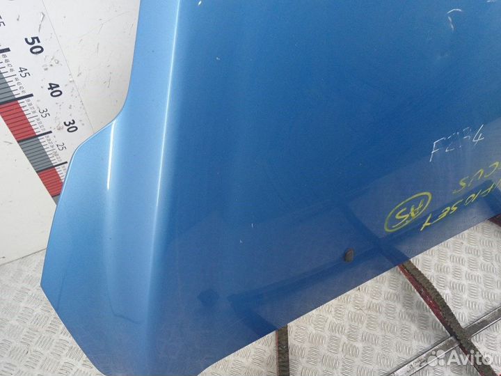 Капот для Ford Focus 2 1521601