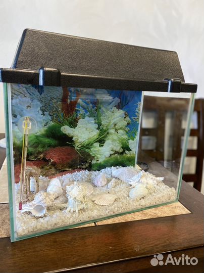 Аквариум
