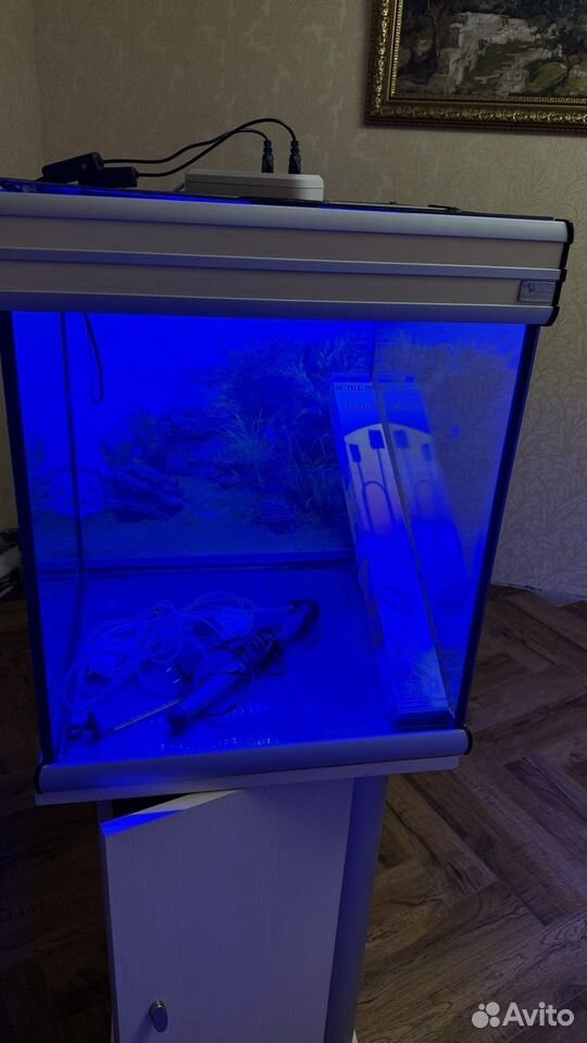 Аквариум 100 L с тумбой + оборудование купить в Москве по низкой цене ...