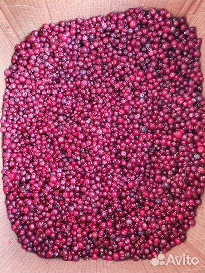 Клюква (чистая)