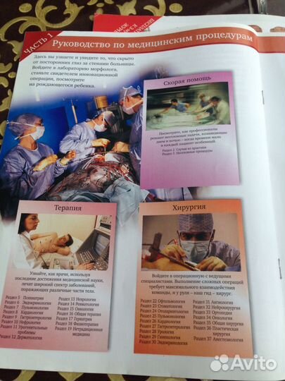 Тело человека