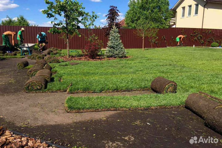 Укладка и продажа рулонного газона