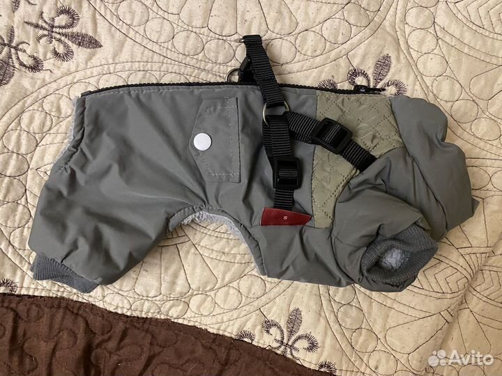 Комбинезон демисезонный для щенка мелких пород