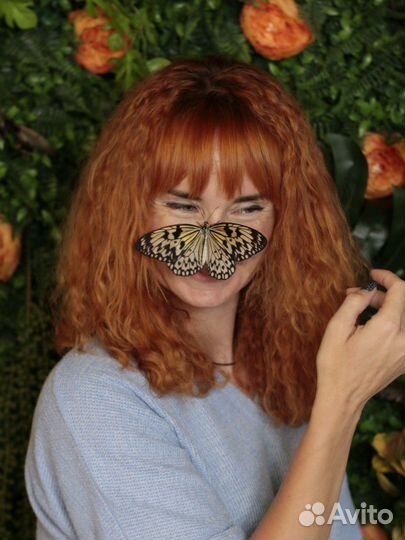 Живые бабочки, фермы бабочек, подарочная продукция