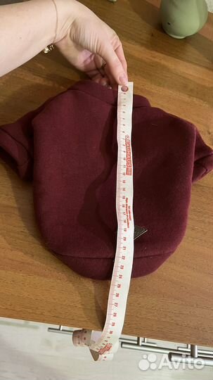 Одежда для собак